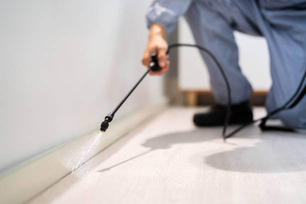 Licensed Pest Control service in Springdale, AR - Show Me Pest Control